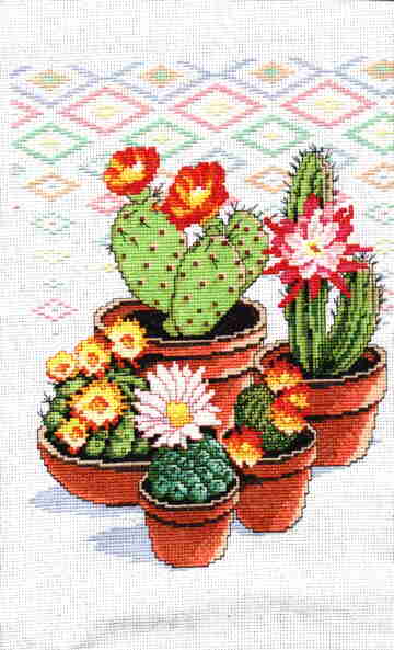 cactusfinished.jpg